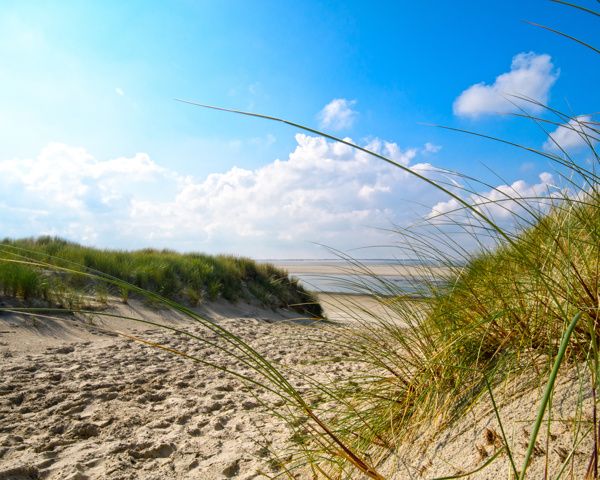 Busreis Oostfriesland | Flamingo-busvakanties.be