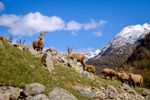Aosta - Vallei