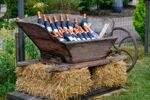 Gastronomie - Aube - Champagne (9)