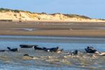 Les 7 Vallées & Baai van de Somme (24)