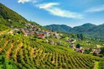 Veneto en de Venetiaanse Lagune (18)