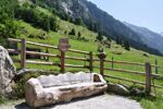 Zillertaler (7)