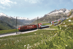 Cruise Glacier Express (8)