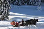 Winterreis - Kleinwalsertal (7)