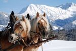Winterreis - Kleinwalsertal (9)