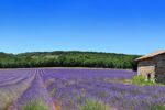 Luberon - Provence (18)