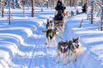 Winterreis naar het magische Lapland! (20)