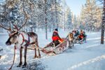Winterreis naar het magische Lapland! (7)