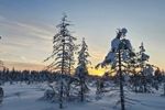 Winterreis naar het magische Lapland! (23)