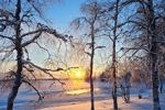 Winterreis naar het magische Lapland! (24)