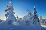 Winterreis naar het magische Lapland! (40)