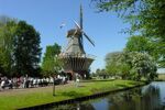 Riviercruise & Keukenhof