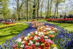 Riviercruise & Keukenhof (16)