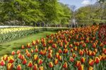 Riviercruise & Keukenhof (35)