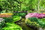 Riviercruise & Keukenhof (36)