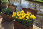 Riviercruise & Keukenhof (43)