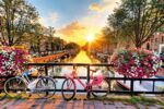 Riviercruise & Keukenhof (48)