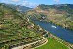 Riviercruise Op De Douro (11)