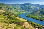 Riviercruise Op De Douro (12)