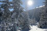 Wandelen in het winterparadijs Abtenau (12)