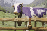 Vorarlberg - Stuben (31)
