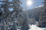 Winterreis Matrei am Brenner 