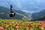 Zell Am See - Kaprun - Zomerreis (1)