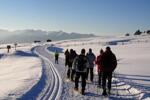 Zuid-Tirol - Feldthurns - Trento - Winterreis (11)