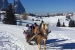 Zuid-Tirol - Feldthurns - Trento - Winterreis (19)