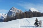 Zuid-Tirol - Feldthurns - Trento - Winterreis (3)