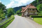 Zwarte Woud - Oberharmersbach (26)