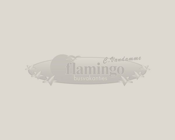 Busreis Kerstreis Westerwald | Flamingo-busvakanties.be